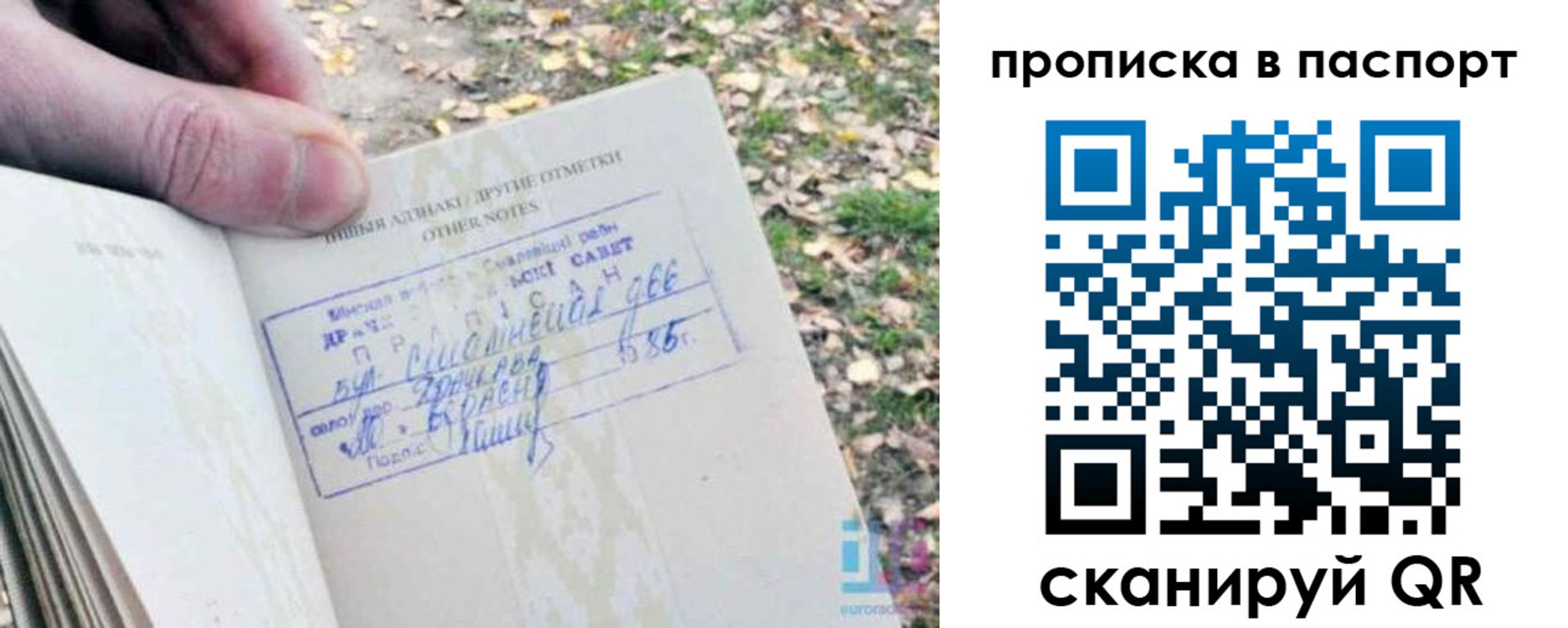 купить прописку в Киришах